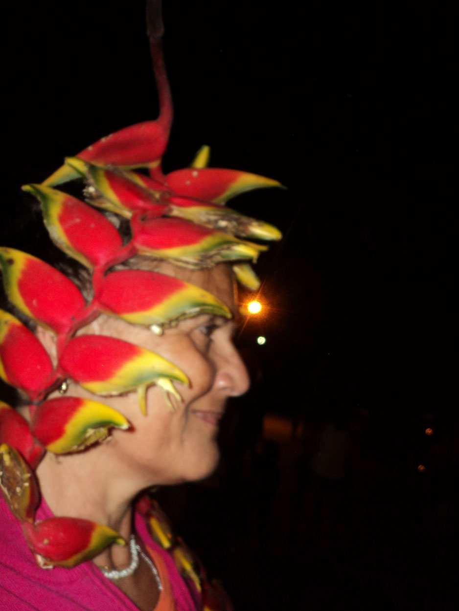 2016-02-08/09 Carneval de Galdi (Foto)